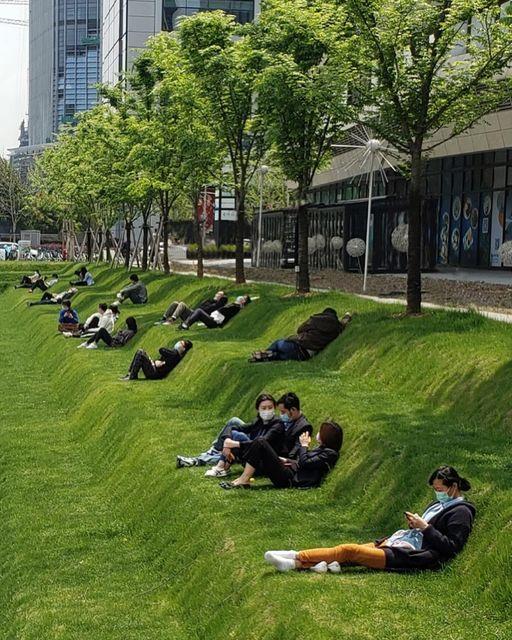 Tiered lawn offers a tranquil oasis for office workers in Shanghai